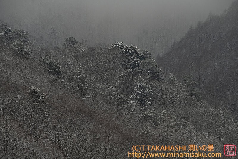 ../Images/7R250202 (56).jpg